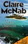 Murder Undercover: A Denise Cleever Thriller (Denise Cleever Thrillers)
