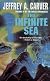 The Infinite Sea