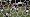 Pro Evolution Soccer 6 (Xbox 360)