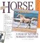 The Horse Calendar 2005 (Page-A-Day Calendars)