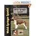 Welsh Springer Spaniel (Pet love)