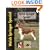 Welsh Springer Spaniel (Pet love)