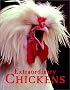 Extraordinary Chickens (Cards)