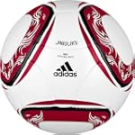 adidas World Cup 2010 BECKHAM Mini Soccer Ball $14.16