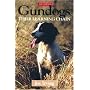 Gun Dogs: Their Learning Chain