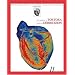 Anatomy/Nursing