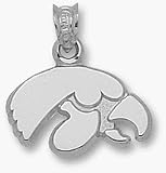 Iowa Hawkeyes Hawk Face Pendant - Sterling Silver Jewelry