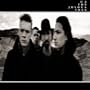 The Joshua Tree
