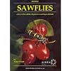 British Sawflies: A Key to the Adults of Genera Occurring in Britain (Field Studies Council Publications)