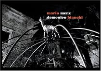 Mario Merz/Domenico Bianchi