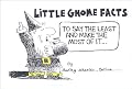 Little Gnome Facts