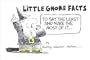 Little Gnome Facts