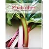 Rhabarber