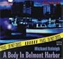 A Body in Belmont Harbor