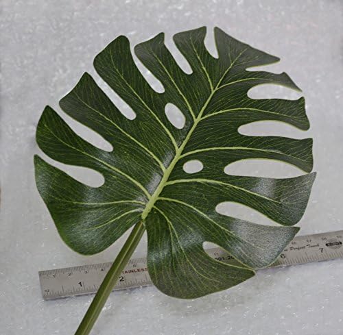 Tropical Palm Leaves
