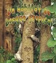 Un Habitat De Bosque Tropical/ A Rainforest Habitat (Introduccion a Los Habitats / Introduction to Habitats) (Spanish Edition)