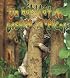Un Habitat De Bosque Tropical/ A Rainforest Habitat (Introduccion a Los Habitats / Introduction to Habitats)