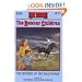 The Mystery of the Wild Ponies (The Boxcar Children Mysteries #77)