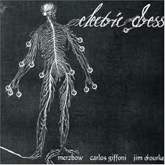 Electric Dress by  Merzbow 