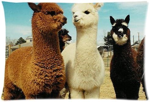Custom New Arrival Pillow Case Llama We Are Friends 20x30 Twin Sides Zippered Pillowcase CLL01