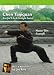 DVD : Chen Taijiquan - Tai Chi Chuan (YMAA) (NTSC)