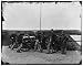 [District of Columbia. Sergeants of 3d Massachusetts Heavy Artillery, with gun and ca...