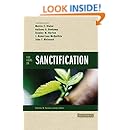 Five Views on Sanctification