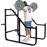 Champion Step Squat Rack Gym Equipment