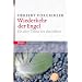 Wiederkehr der Engel: Ein altes Thema neu durchdacht