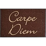 Wash+Dry 031253 Fu�matte Carpe Diem, 50 x 75 cmvon "Wash+Dry"