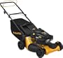 Poulan Pro PR173T22RP 21-Inch 173cc Kohler Gas Powered Side Discharge/Mulch/Bag FWD Self Propelled Lawn Mower