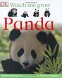 Panda (DK Watch Me Grow)