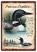 American Expeditions Loon Playing Cards