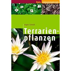 Terrarienpflanzen.