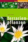 Terrarienpflanzen