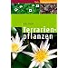 Terrarienpflanzen