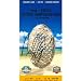 Riley Cooper Autographed Florida Gators 2009 BCS Game Ticket - ticket used by his Parents