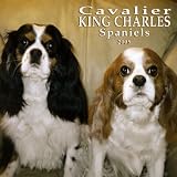 Cavalier King Charles Spaniels 2005 Wall Calendar