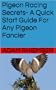 Pigeon Racing Secrets- A Quick Start Guide For Any Pigeon Fancier