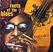 Vanguard: Roots of the Blues
