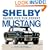 Shelby Mustang: Racer for the Street