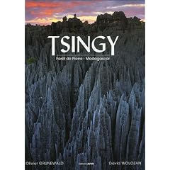 Tsingy : For�t de Pierre - Madagascar
