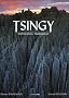 Tsingy : For�t de Pierre - Madagascar
