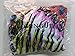 Blooming Jelly Women's One Piece High Cut Halter Backless Criss Cross Monokini Tropical Tribal Print Swimsuit (XXL, Multicoloured)