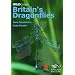 Britain's Dragonflies