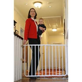 Cardinal Gates Stairway Special Gate