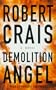 Demolition Angel