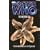 Doctor Who: The Ancestor Cell