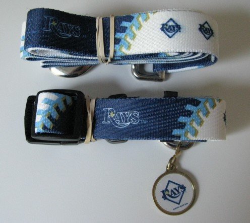 Tampa Bay Rays Pet Accessories Set - Medium (6' Leash, Collar, and ID Tag)