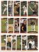 2006 Topps Pittsburgh Pirates Baseball Cards Complete Team Set (24 cards)